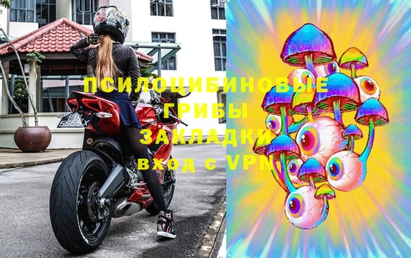 spice Белокуриха