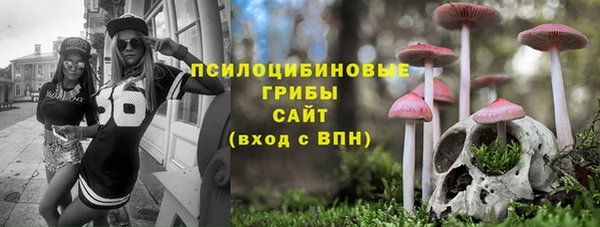 spice Белокуриха